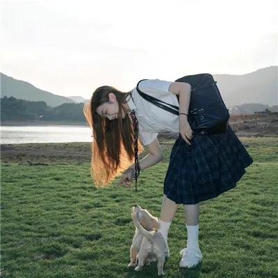 远赴人间惊鸿宴